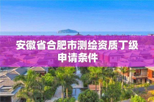 安徽省合肥市测绘资质丁级申请条件