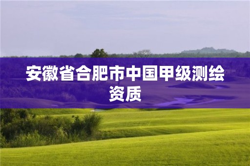 安徽省合肥市中国甲级测绘资质