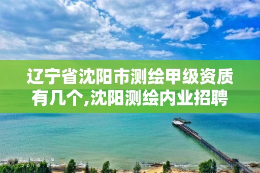 辽宁省沈阳市测绘甲级资质有几个,沈阳测绘内业招聘信息。