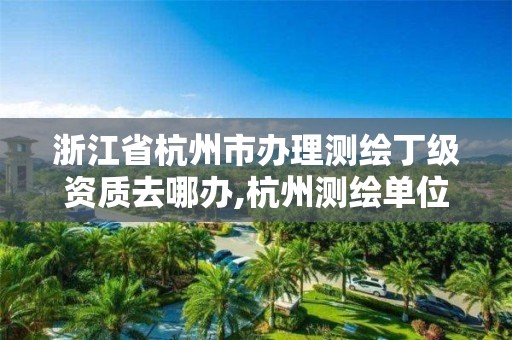 浙江省杭州市办理测绘丁级资质去哪办,杭州测绘单位。