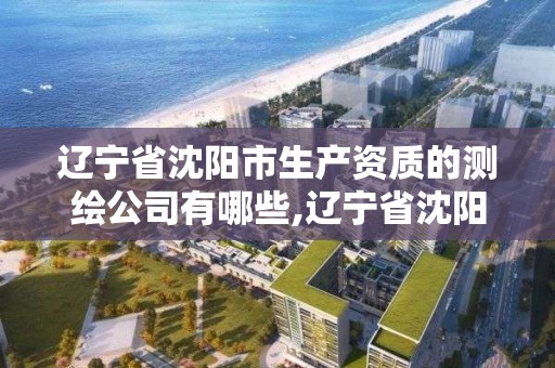 辽宁省沈阳市生产资质的测绘公司有哪些,辽宁省沈阳市生产资质的测绘公司有哪些名字。