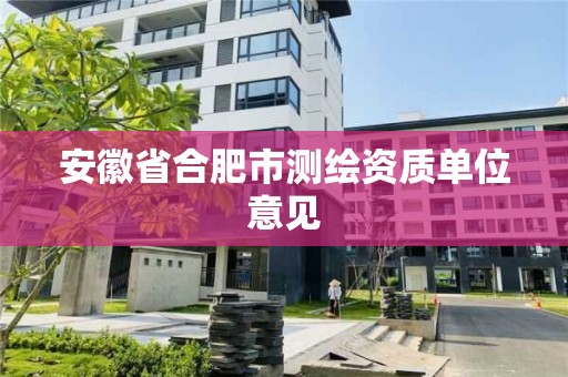 安徽省合肥市测绘资质单位意见