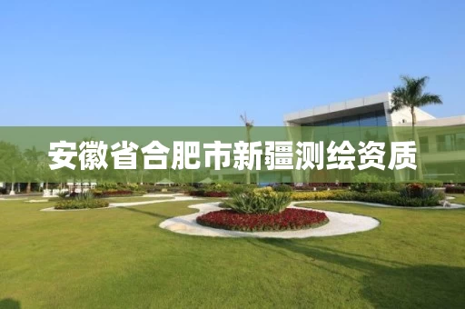 安徽省合肥市新疆测绘资质 安徽省合肥市新疆测绘资质