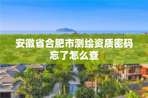 安徽省合肥市测绘资质密码忘了怎么查 安徽省合肥市测绘资质密码忘了怎么查