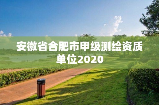 安徽省合肥市甲级测绘资质单位2020