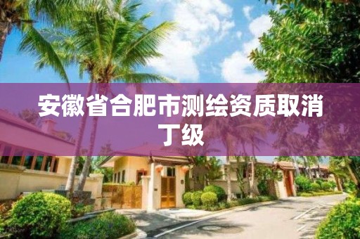 安徽省合肥市测绘资质取消丁级