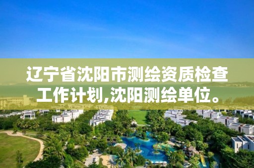 辽宁省沈阳市测绘资质检查工作计划,沈阳测绘单位。