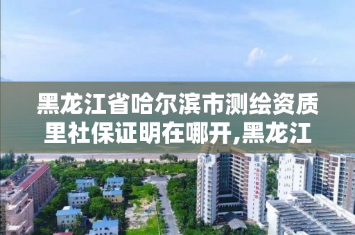 黑龙江省哈尔滨市测绘资质里社保证明在哪开,黑龙江省哈尔滨市测绘局。