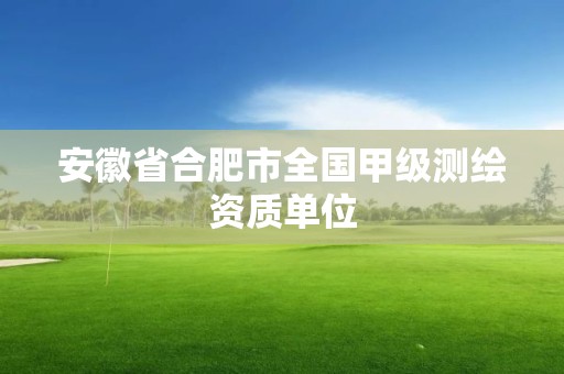 安徽省合肥市全国甲级测绘资质单位