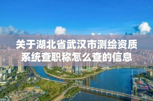 关于湖北省武汉市测绘资质系统查职称怎么查的信息