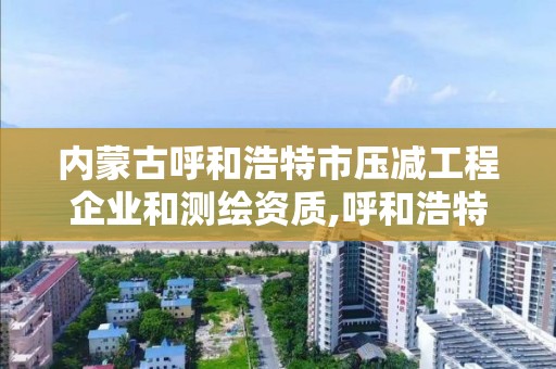 内蒙古呼和浩特市压减工程企业和测绘资质,呼和浩特标准房测绘公司电话。