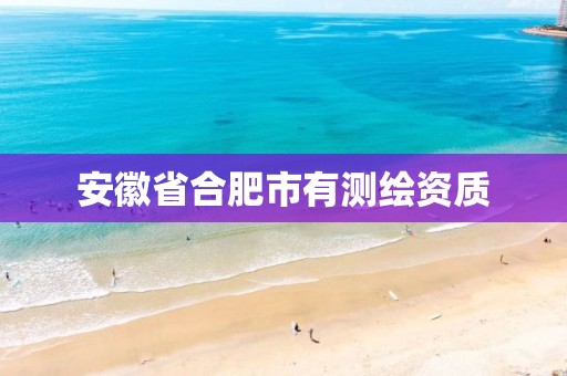 安徽省合肥市有测绘资质