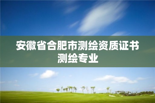 安徽省合肥市测绘资质证书测绘专业