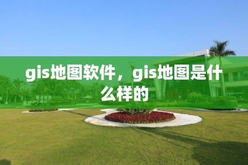 gis地图软件，gis地图是什么样的