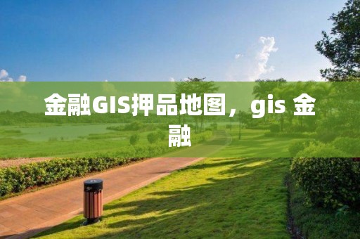 金融GIS押品地图，gis 金融