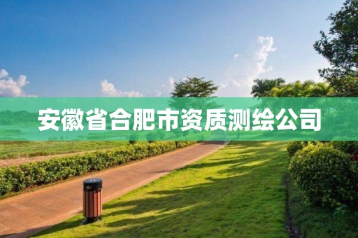 安徽省合肥市资质测绘公司