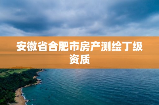 安徽省合肥市房产测绘丁级资质