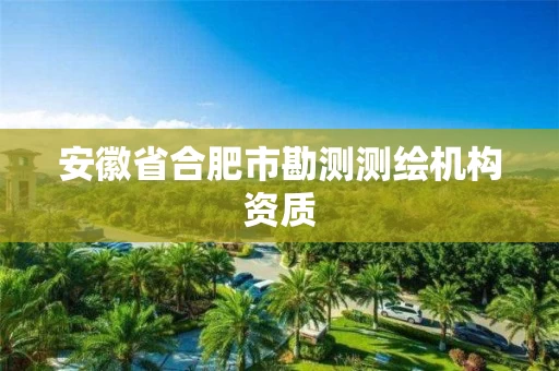 安徽省合肥市勘测测绘机构资质 安徽省合肥市勘测测绘机构资质
