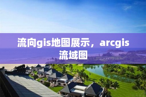 流向gis地图展示，arcgis流域图