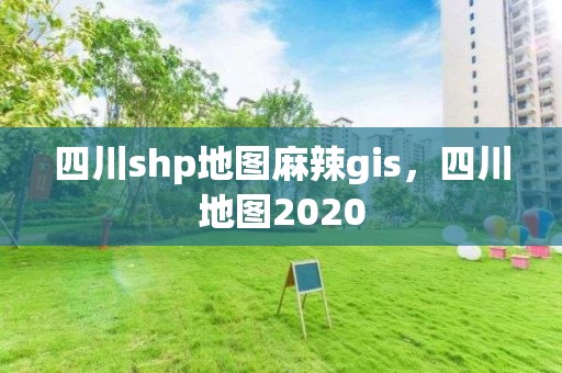 四川shp地图麻辣gis，四川地图2020