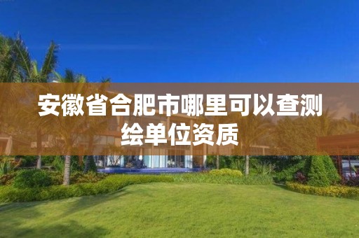 安徽省合肥市哪里可以查测绘单位资质