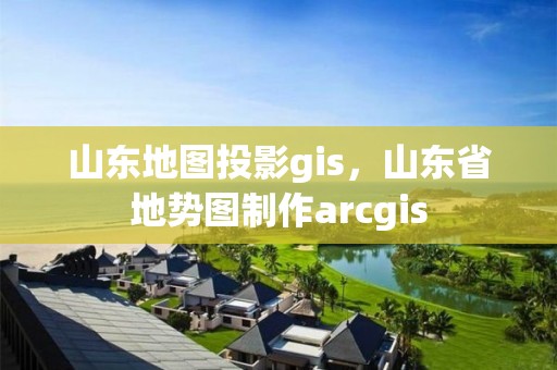 山东地图投影gis，山东省地势图制作arcgis