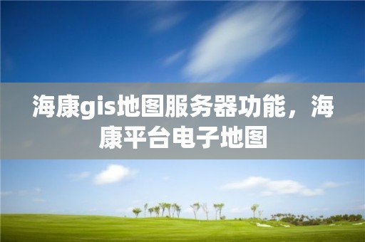 海康gis地图服务器功能，海康平台电子地图