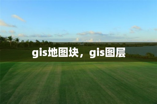 gis地图块，gis图层