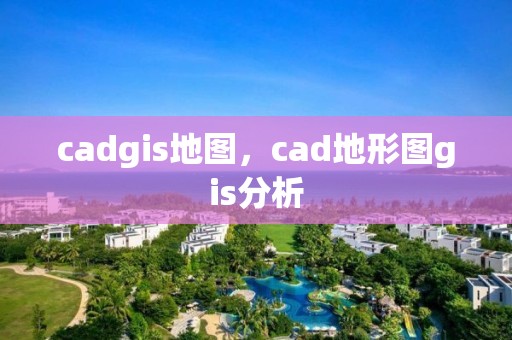 cadgis地图，cad地形图gis分析