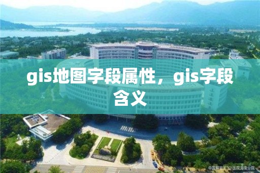 gis地图字段属性，gis字段含义