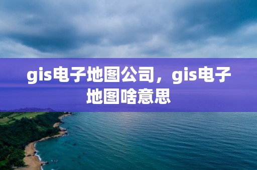 gis电子地图公司，gis电子地图啥意思