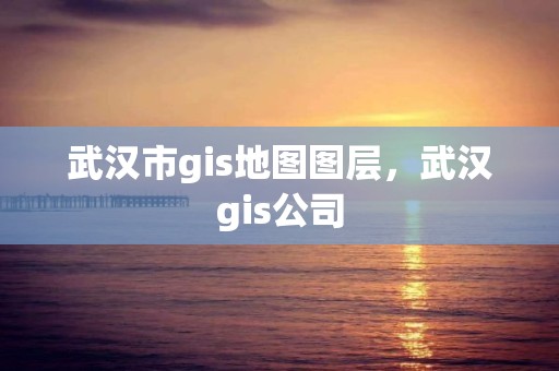 武汉市gis地图图层，武汉gis公司