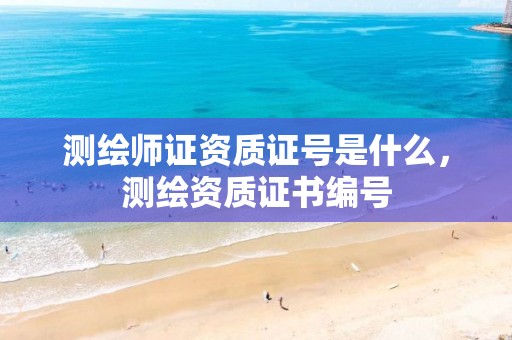 测绘师证资质证号是什么，测绘资质证书编号