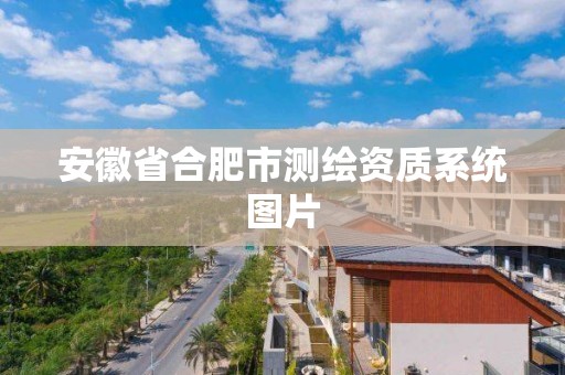 安徽省合肥市测绘资质系统图片