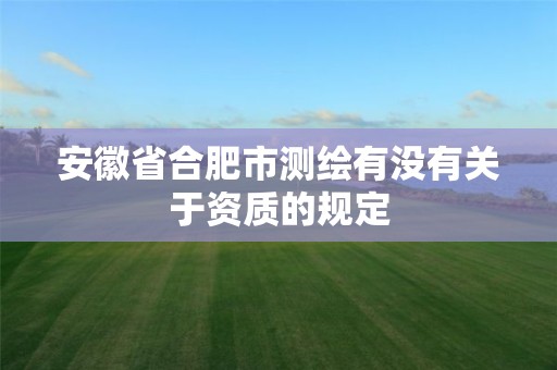 安徽省合肥市测绘有没有关于资质的规定