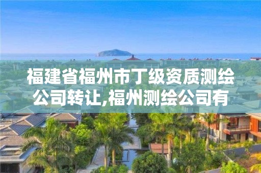 福建省福州市丁级资质测绘公司转让,福州测绘公司有几家。