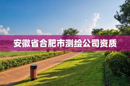 安徽省合肥市测绘公司资质