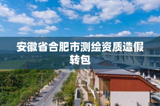 安徽省合肥市测绘资质造假转包