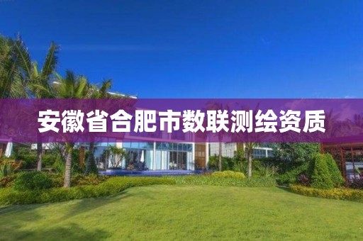 安徽省合肥市数联测绘资质