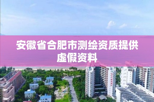 安徽省合肥市测绘资质提供虚假资料