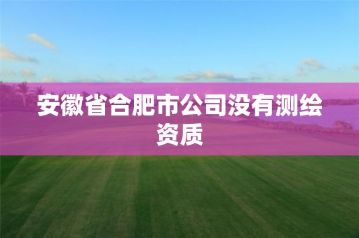 安徽省合肥市公司没有测绘资质