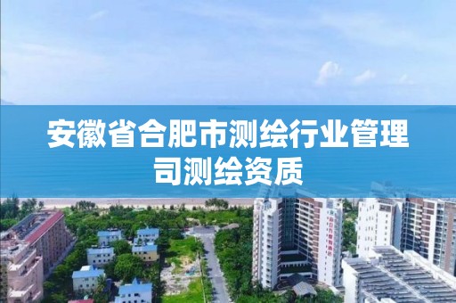 安徽省合肥市测绘行业管理司测绘资质