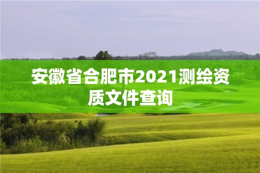 安徽省合肥市2021测绘资质文件查询