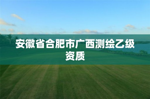 安徽省合肥市广西测绘乙级资质