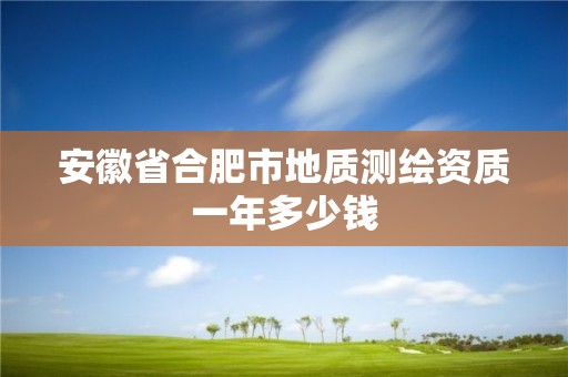 安徽省合肥市地质测绘资质一年多少钱