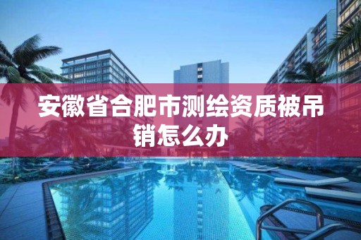 安徽省合肥市测绘资质被吊销怎么办