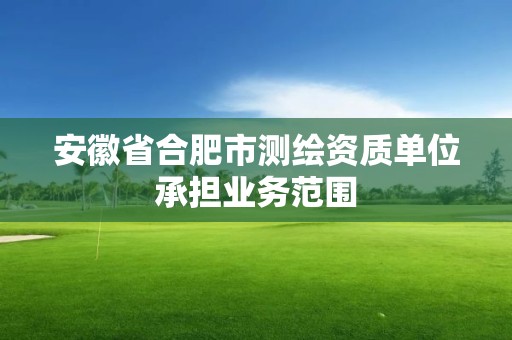 安徽省合肥市测绘资质单位承担业务范围