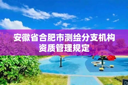 安徽省合肥市测绘分支机构资质管理规定