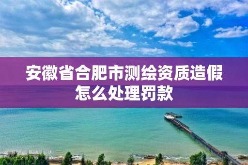 安徽省合肥市测绘资质造假怎么处理罚款