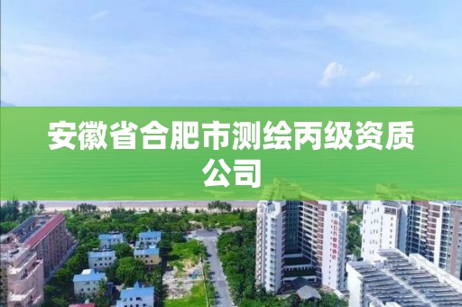 安徽省合肥市测绘丙级资质公司